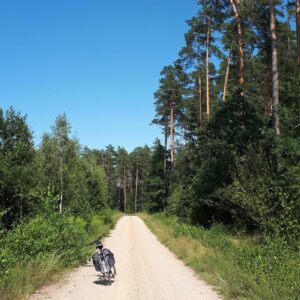 Pole campingowe nad jeziorem Śniardwy, las, spokojna okolica