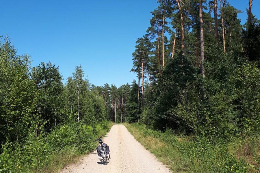 Pole campingowe nad jeziorem Śniardwy, las, spokojna okolica