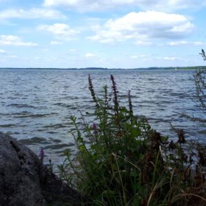 Jezioro Śniardwy pole campingowe