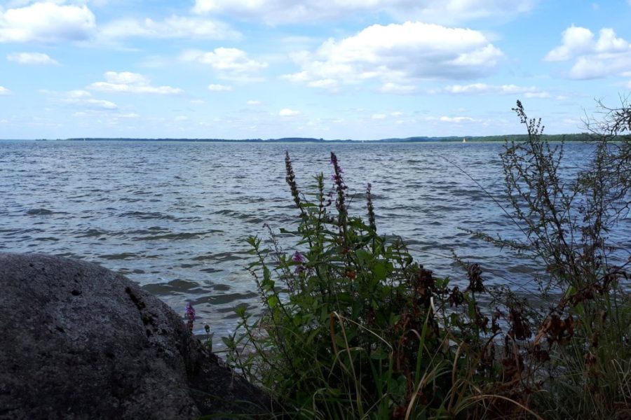Jezioro Śniardwy pole campingowe