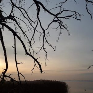 Jezioro Śniardwy pole campingowe spokojna okolica