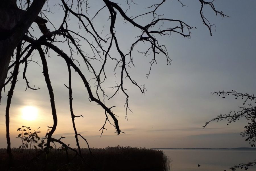 Jezioro Śniardwy pole campingowe spokojna okolica