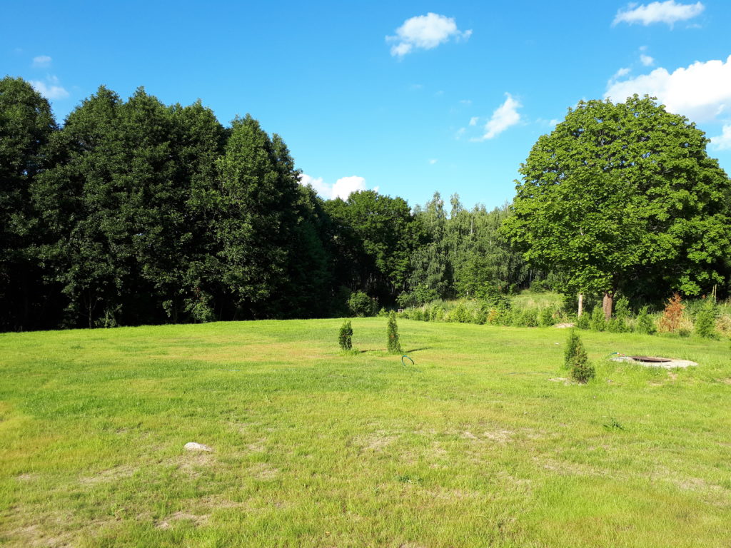 Strona główna