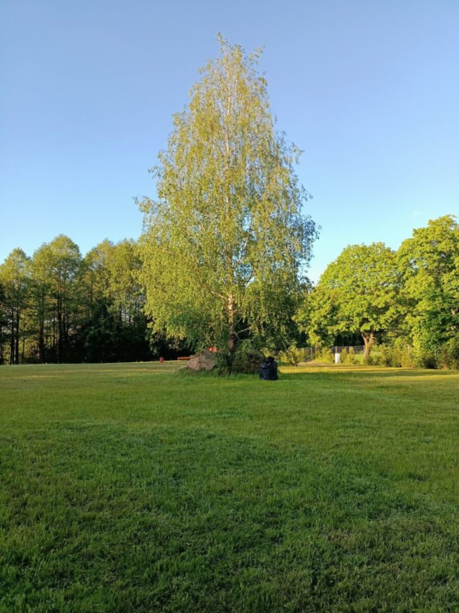 Osada pod Brzozą, pole campingowe nad jeziorem Śniardwy